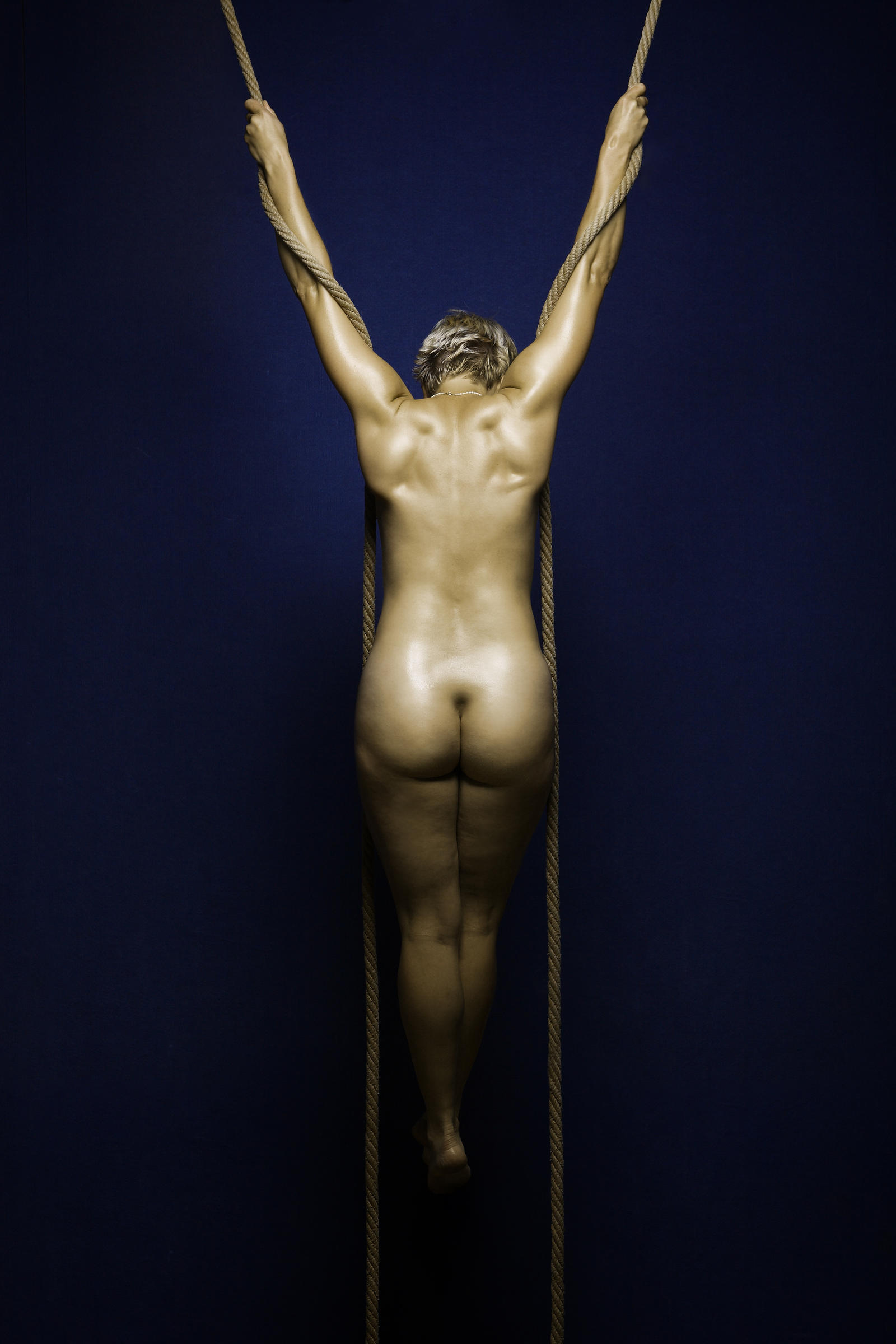 Gravitace